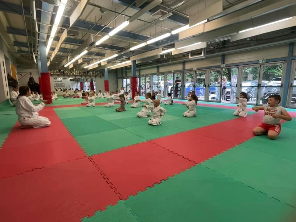 Zdjęcie nr 4	Zdjęcie  z treningu z Sensei Martą Niewczas, źródło własne
